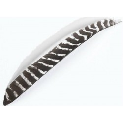 Plume naturelle entière de dindon BEARPAW PRODUCTS - ULYSSE ARCHERIE