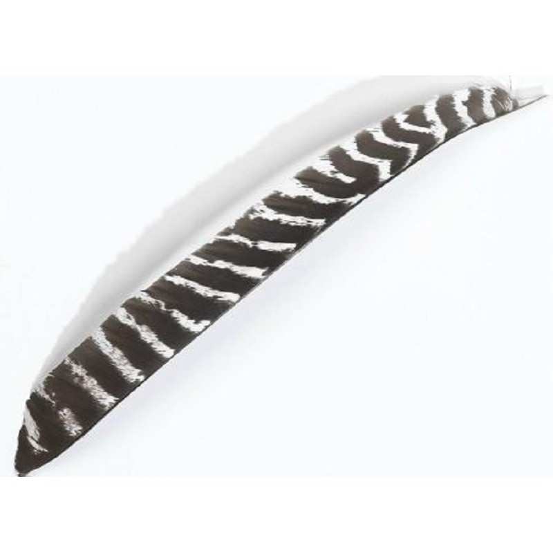 Ganze natürliche Truthahnfeder BEARPAW PRODUCTS - ULYSSE ARCHERIE