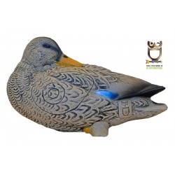 Bersaglio internazionale 3D Anatra (Duck) SRT TARGET - ULYSSE ARCHERIE