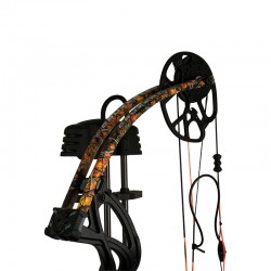 Kit arc à poulies CRUZER G3 WildFire BEAR ARCHERY - ULYSSE ARCHERIE
