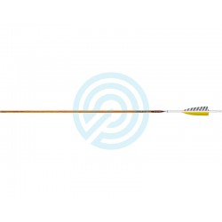 Frecce LEGACY Carbon 400 EASTON ARCHERY - ULYSSE ARCHERIE