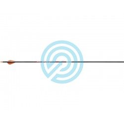 Hunting Arrows VFORCE V6 Sport VICTORY ARCHERY - ULYSSE ARCHERIE
