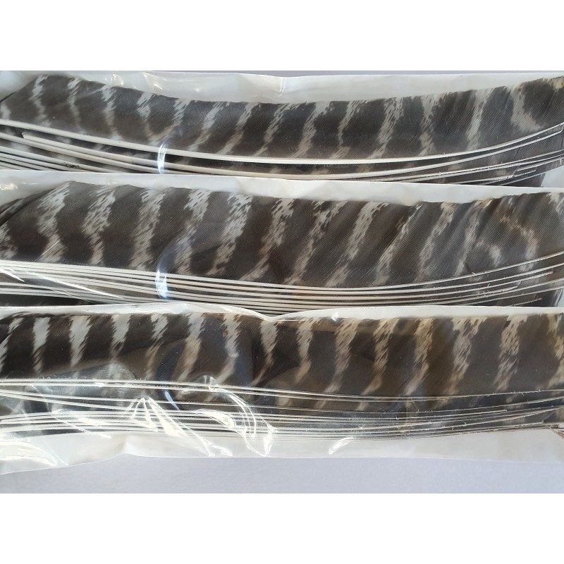 50 Piume Di Tacchino Per Frecce &ndash; 3 Pollici &ndash; Fletching Per Tiro Con L&rsquo;Arco E Caccia