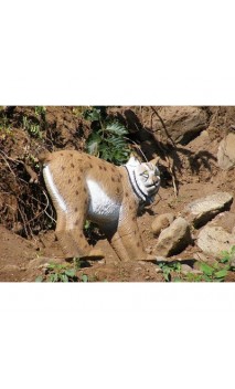 Cible 3D LYNX SRT TARGET - ULYSSE ARCHERIE