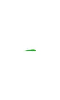 Natural Feather 4 "Parabolic United Trueflight Feathers - ULYSSE ARCHERIE