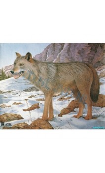 Cible JVD de LOUP (jvd animal face wolf) - ULYSSE ARCHERIE