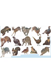 Cible Nature Bjorn Face Marten (martre de face) - ULYSSE ARCHERIE