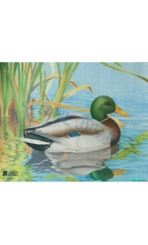 Duck target reinforced paper JVD Distribution - ULYSSE ARCHERIE