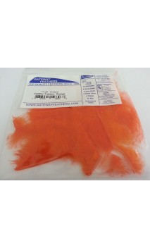 Tracer Band 2" Pfeil Gateway Feathers - ULYSSE ARCHERIE