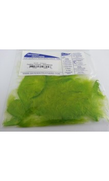 Tracer 2" Strps Arrow Gateway Feathers - ULYSSE ARCHERIE
