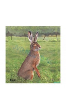LIEVRE (JVD Animal Face Hare ) - ULYSSE ARCHERIE