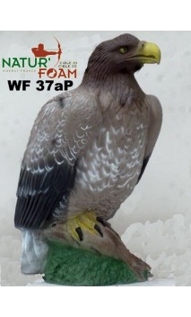 AIGLE NATUR FOAM - ULYSSE ARCHERIE