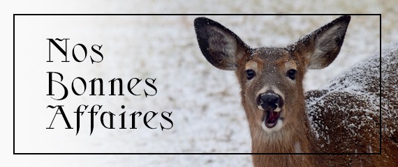 Les bonnes affaires : Ulysse Archerie